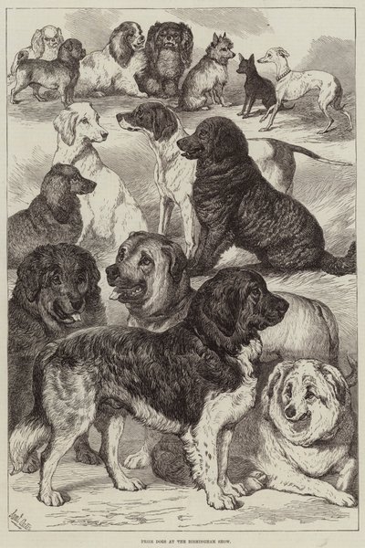 バーミンガムショーの賞犬 作： Samuel John Carter